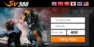 SV388 Link Không Bị Chặn Vào Nhanh | Cập Nhật Mới Nhất